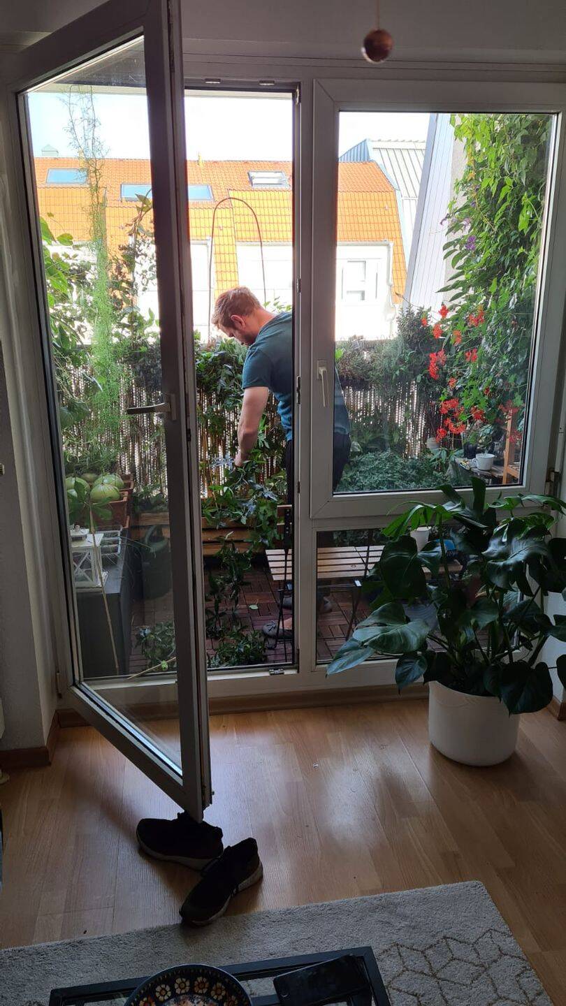 ***Komfortables, süßes Nest sucht neues Leben*** – Leipzig – Vorschaubild 2