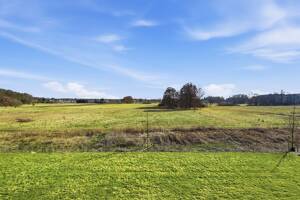 Hochwertige Neubau-Doppelhaushälfte mit unverbaubarem Blick ins Landschaftsschutzgebiet – 14547 Beelitz – Vorschaubild 4