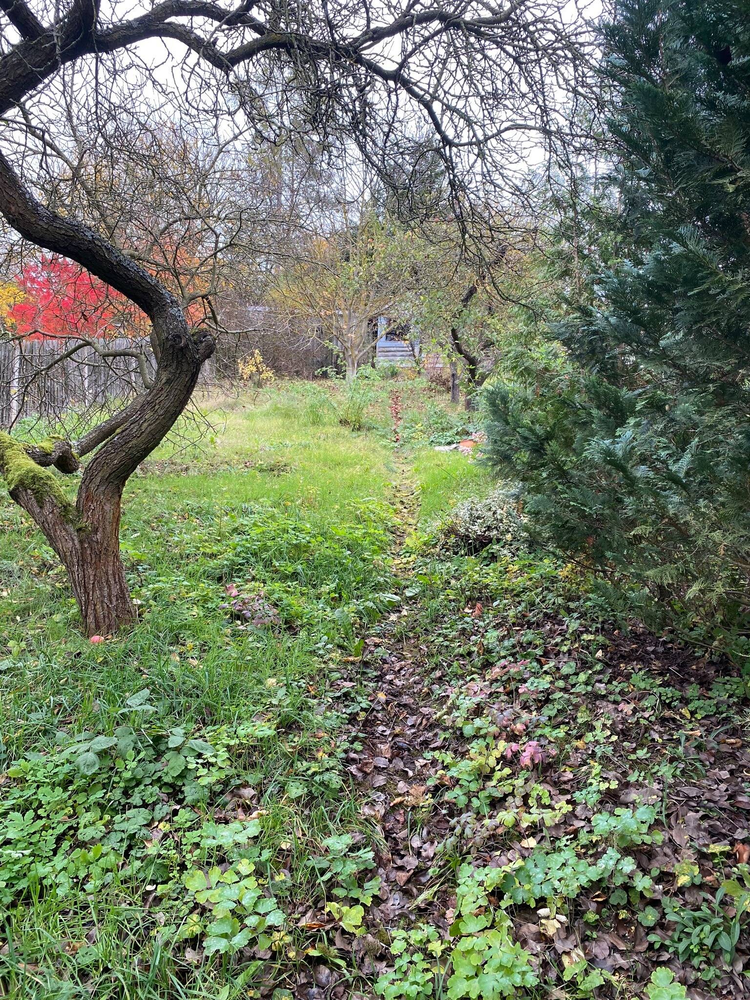 Wohntraum verwirklichen im gemütlichen Ort Marolterode – Marolterode – Vorschaubild 7