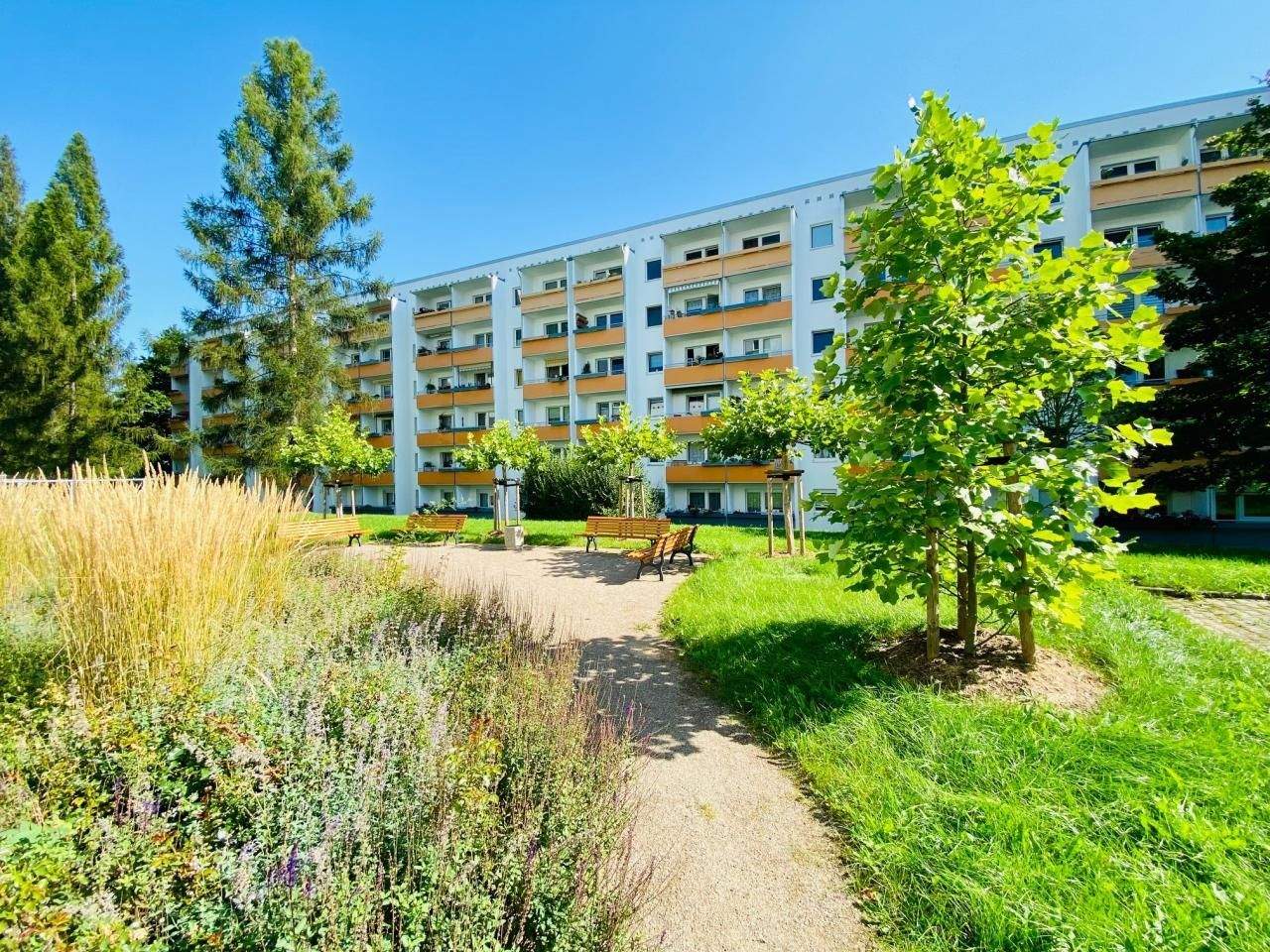 Gemütliche 3 Raum Wohnung in 1.Etage – Chemnitz – Vorschaubild 3
