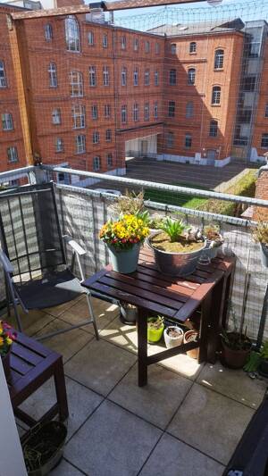 ...geräumige 4-Raum Dachgeschoss Wohnung mit Balkon und Stellplatz in der ehemaligen Senffabrik – 39108 Magdeburg – Vorschaubild 9