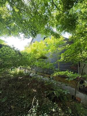 Mit Geschick und Mut wird`s bestimmt ganz gut: Freist. EFH mit Wald-Grundstück! – 44227 Dortmund – Vorschaubild 3