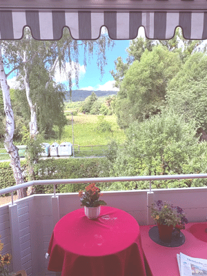 In exponierter Traumlage, 2 ZKB sonniger West Balkon, 1. OG, direkt am Naturschutzgebiet – 34130 Kassel – Vorschaubild 7