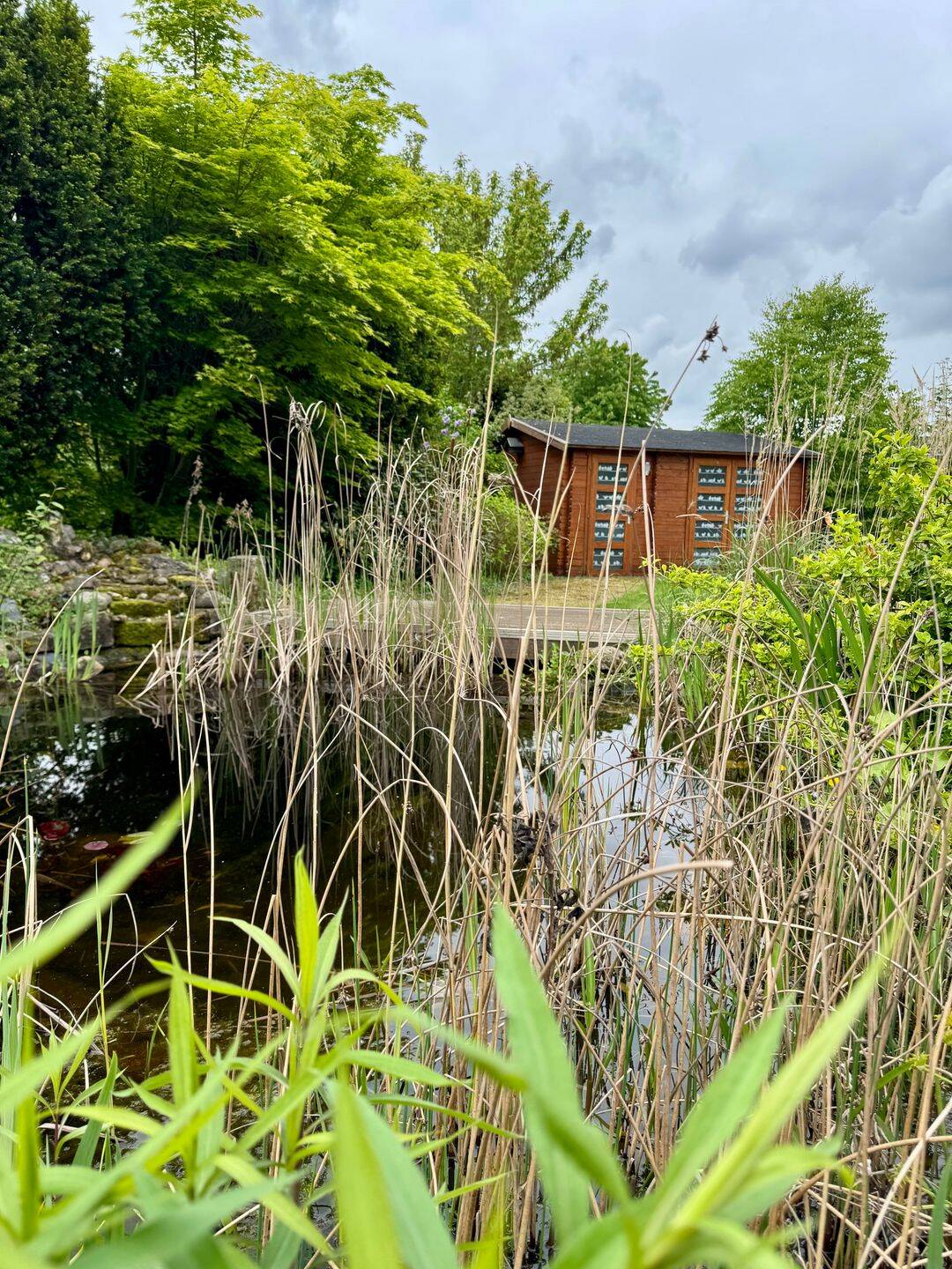 Einfamilienhaus im Bungalowstil - Stilvoll, ebenerdig und energieeffizient – Wolfsburg – Vorschaubild 4