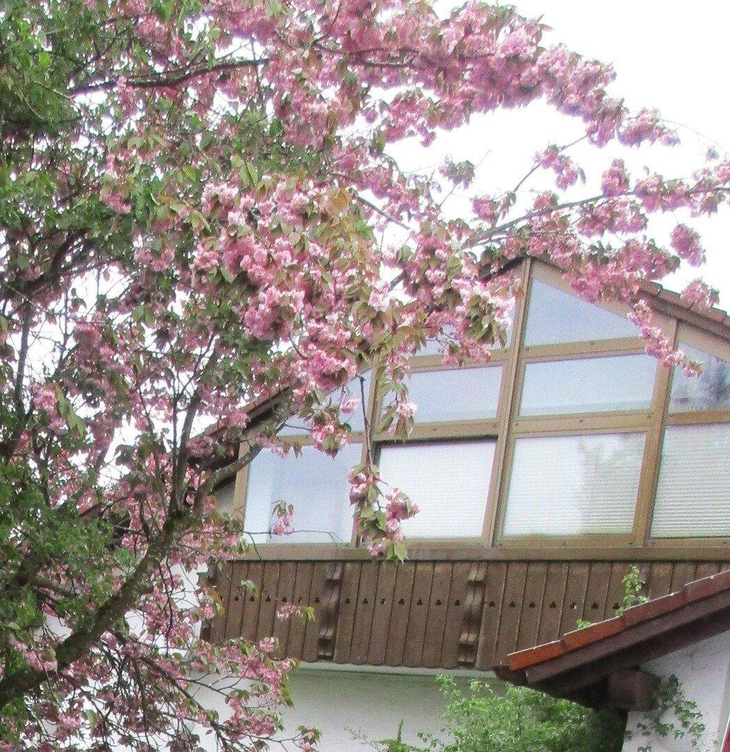 Haldenwang: freie 4 Zi- DG-Wohg.,99qm,Balkon, 1Garage,1Stellplatz, Keller – Haldenwang – Vorschaubild 9