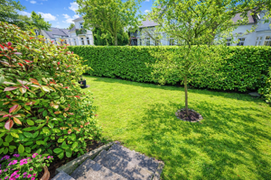 Attraktive 3-Zimmer-Gartenwohnung in begehrter Villenlage – aktuell wertbeständig vermietet – 21029 Hamburg – Vorschaubild 3