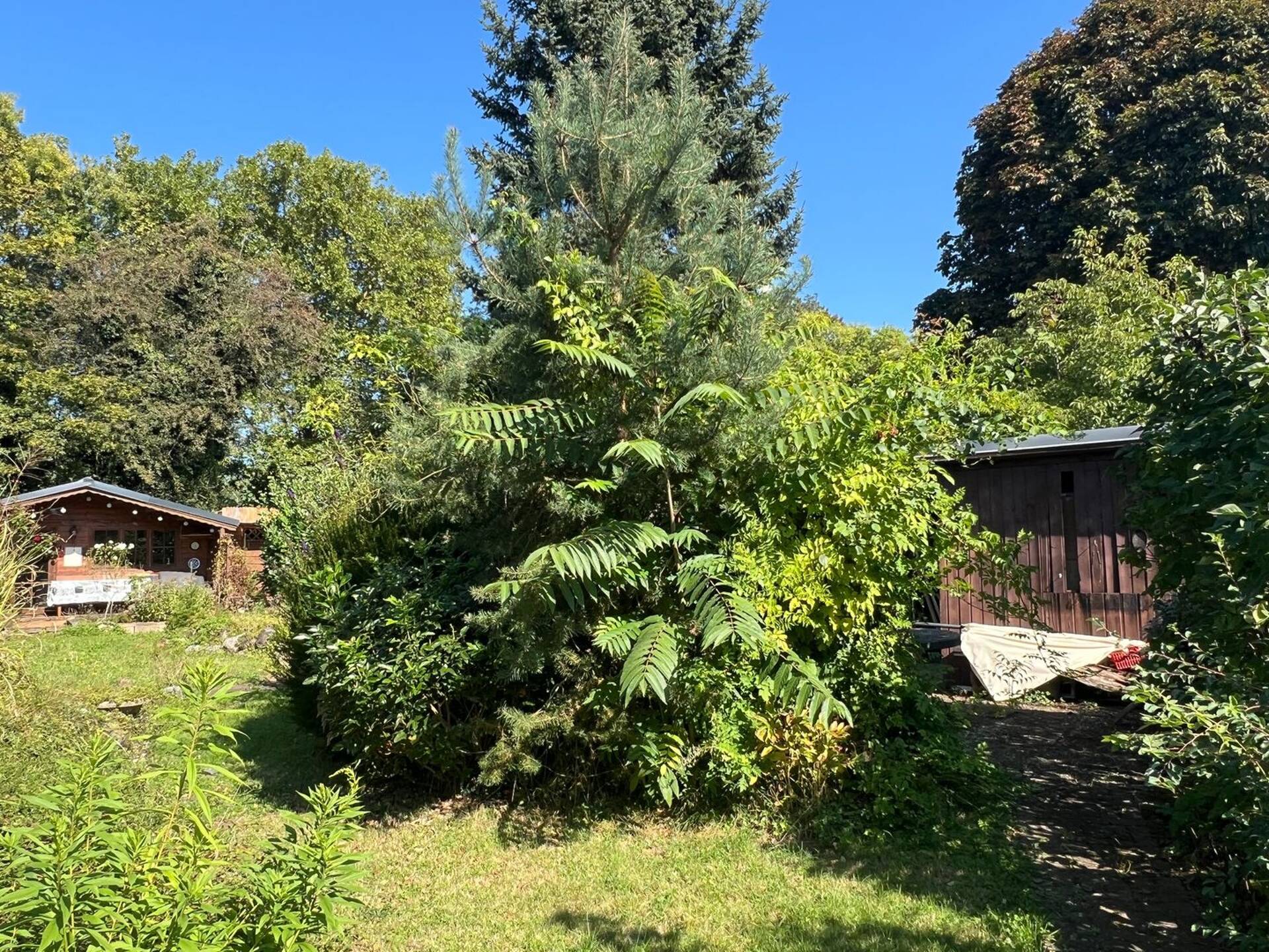 Haus in 55566 Bad Sobernheim mit 160 m² kaufen