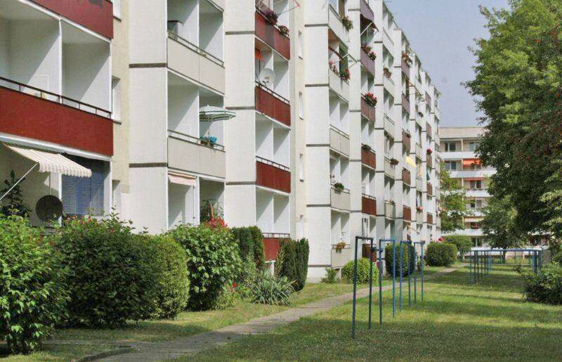 #richtigjut...ruhig und im Grünen wohnen - frisch saniert zum 01.09. – Magdeburg – Vorschaubild 4