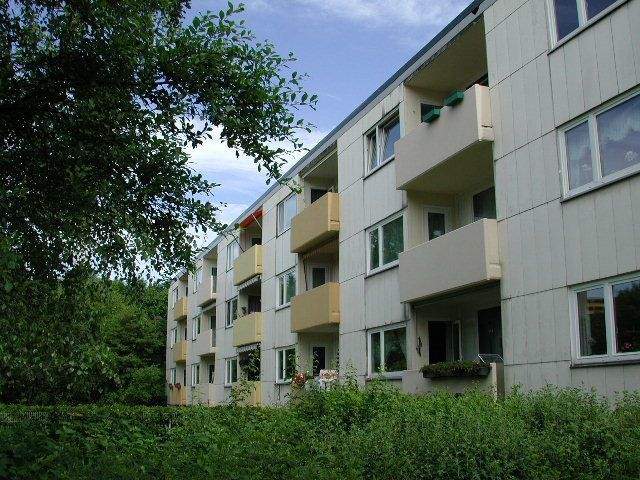 So macht wohnen Spaß: gemütliche 3-Zimmer-Wohnung