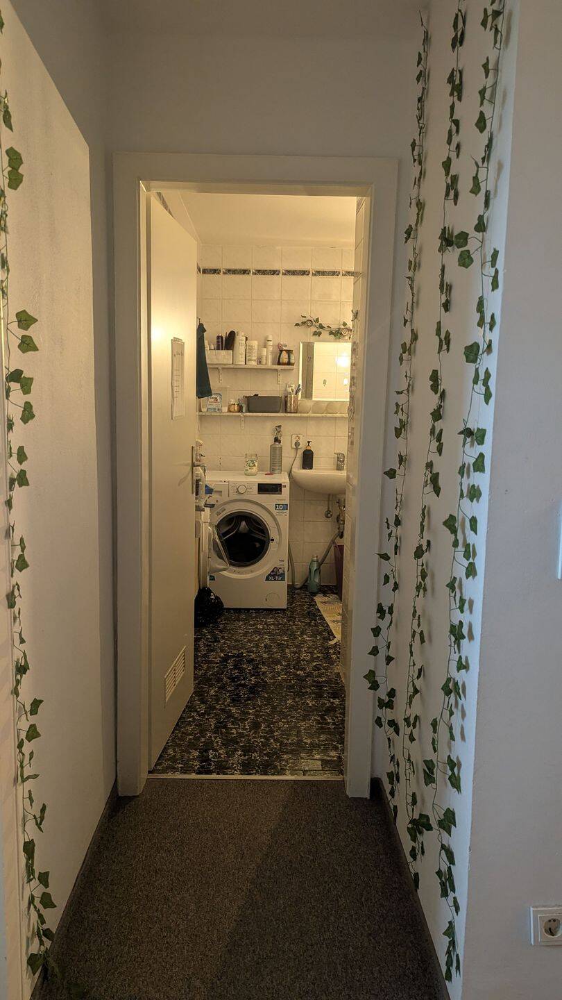 Frauen WG Zimmer frei – München – Vorschaubild 3