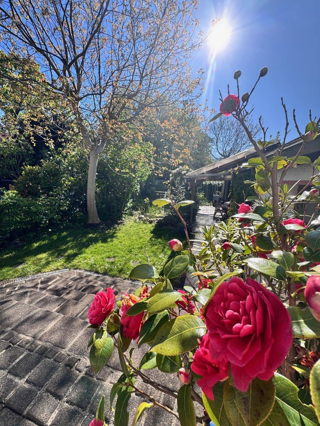 Familienidylle mit wunderschönem Garten – Essen – Vorschaubild 2
