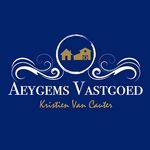 Aeygems Vastgoed logo