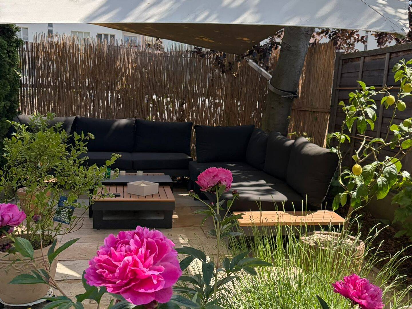 Rarität zwischen Dresden und Radebeul! Hochwertige Doppelhaushälfte mit Garten - provisionsfrei! – Dresden – Vorschaubild 3