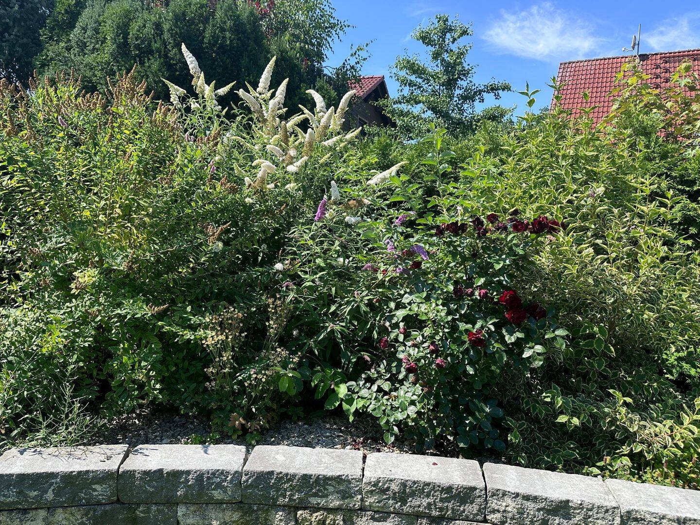 Hochwertiges Einfamilienhaus in Seenähe – Markranstädt – Vorschaubild 6