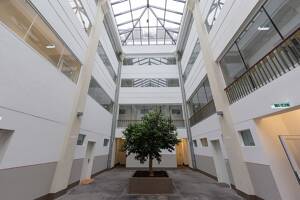 Attraktive Wohnung im Magazin – 44263 Dortmund – Vorschaubild 6