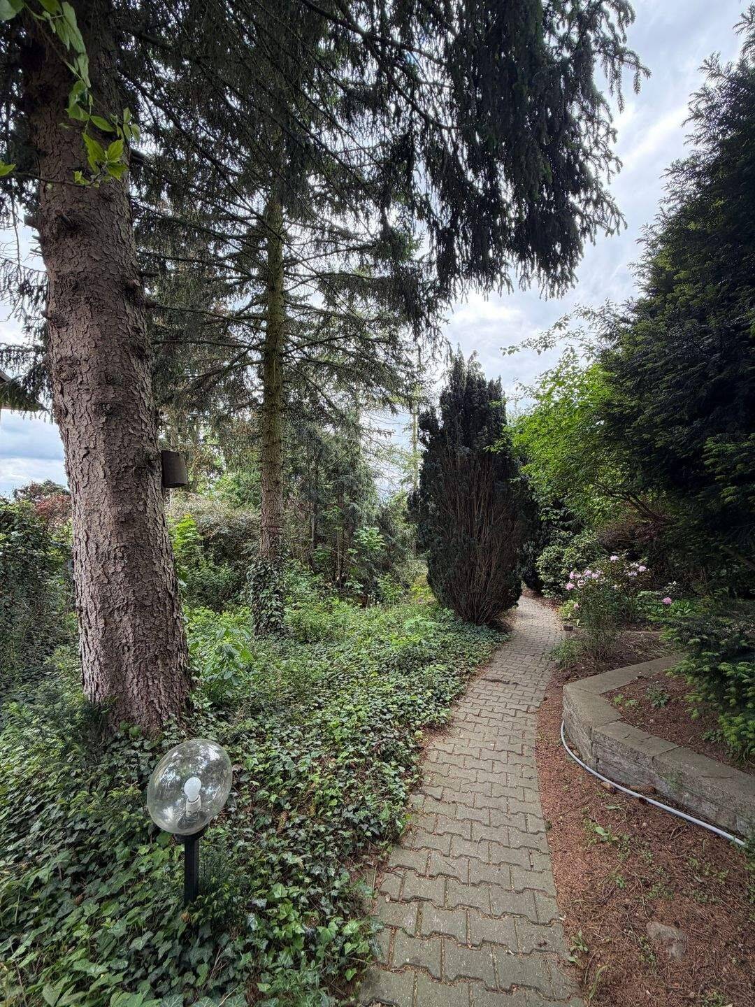 Großzügige Bungalow-Residenz unter 800k: 1.373 m² Parkidyll, Kamin & Wellness in Hoppegarten – Hoppegarten – Vorschaubild 2