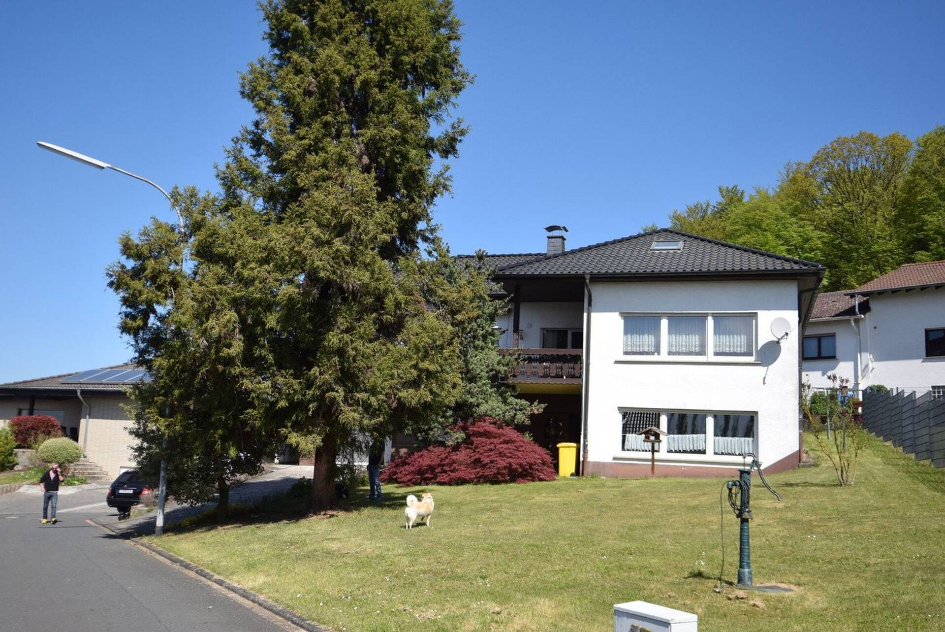 Haus in 56414 Berod bei Wallmerod mit 336 m² kaufen