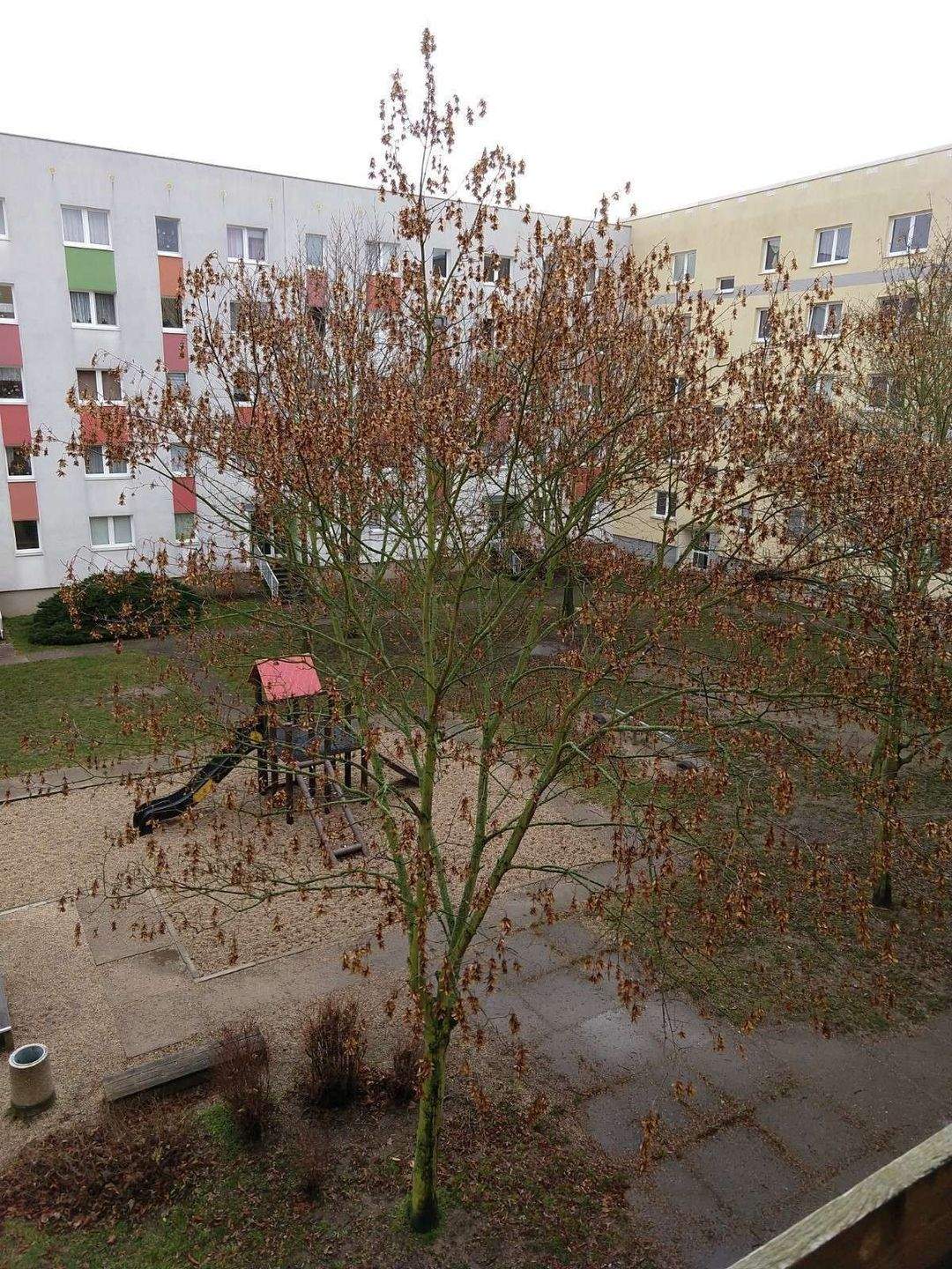 3-RWE in Gohlis Nord – Leipzig – Bild 1 von 9