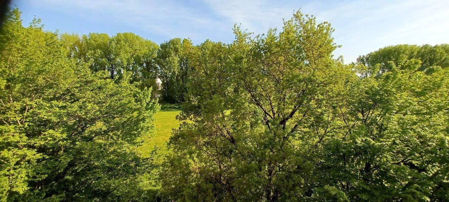 Großzügige, helle 2 ,5 Zim. Wohnung unverbaubarer Blick auf die Donau! – Regensburg – Vorschaubild 2