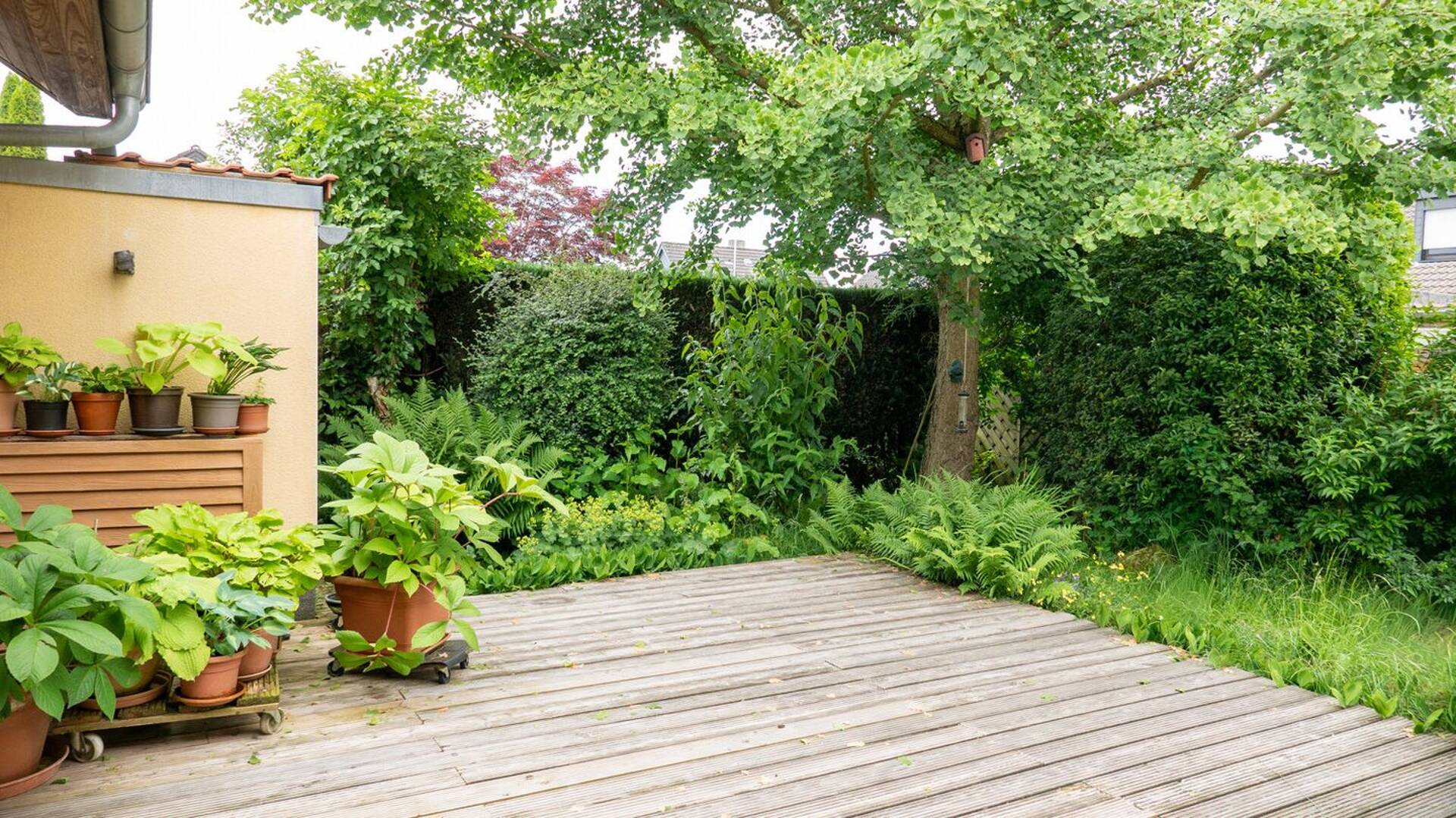 Haus in 48527 Nordhorn mit 146 m² kaufen