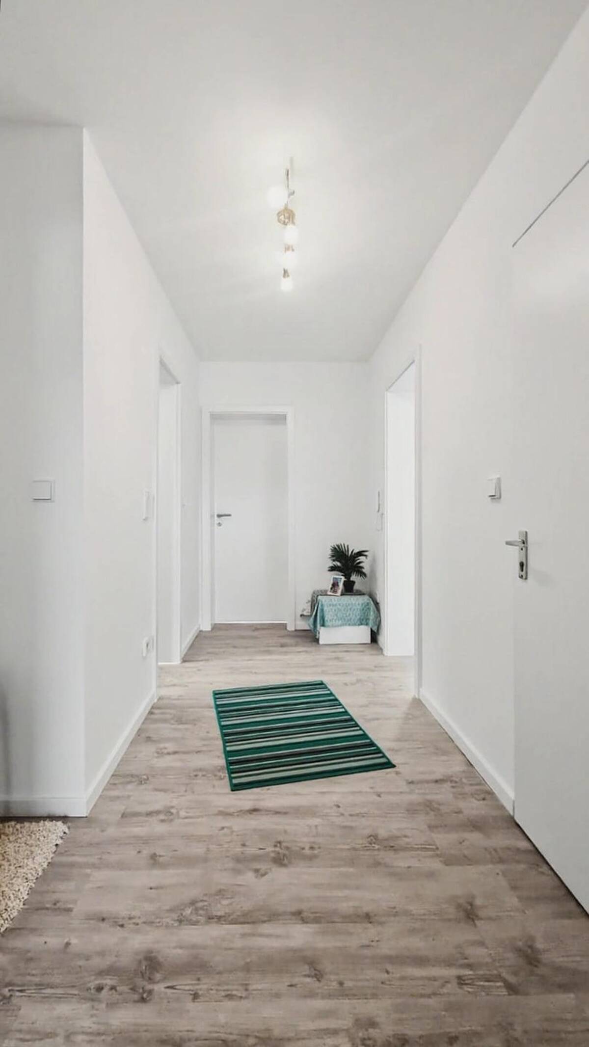 Renditestarkes Marken-Investment in Ludwigshafen: Kernsanierte 2-Zimmer-Wohnung mit 5,1 % Rendite (Kopie) – 67071 Ludwigshafen am Rhein – Bild 1 von 9