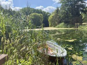 Ein Anwesen mit besonderem Charakter! – 99098 Erfurt – Vorschaubild 6