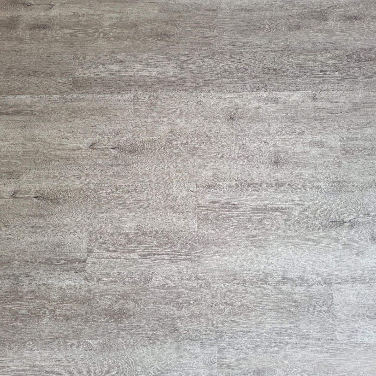 2,5 - Zimmer-Wohnung Knooper Weg ** Laminat/EBK/Duschbad – Kiel – Vorschaubild 7