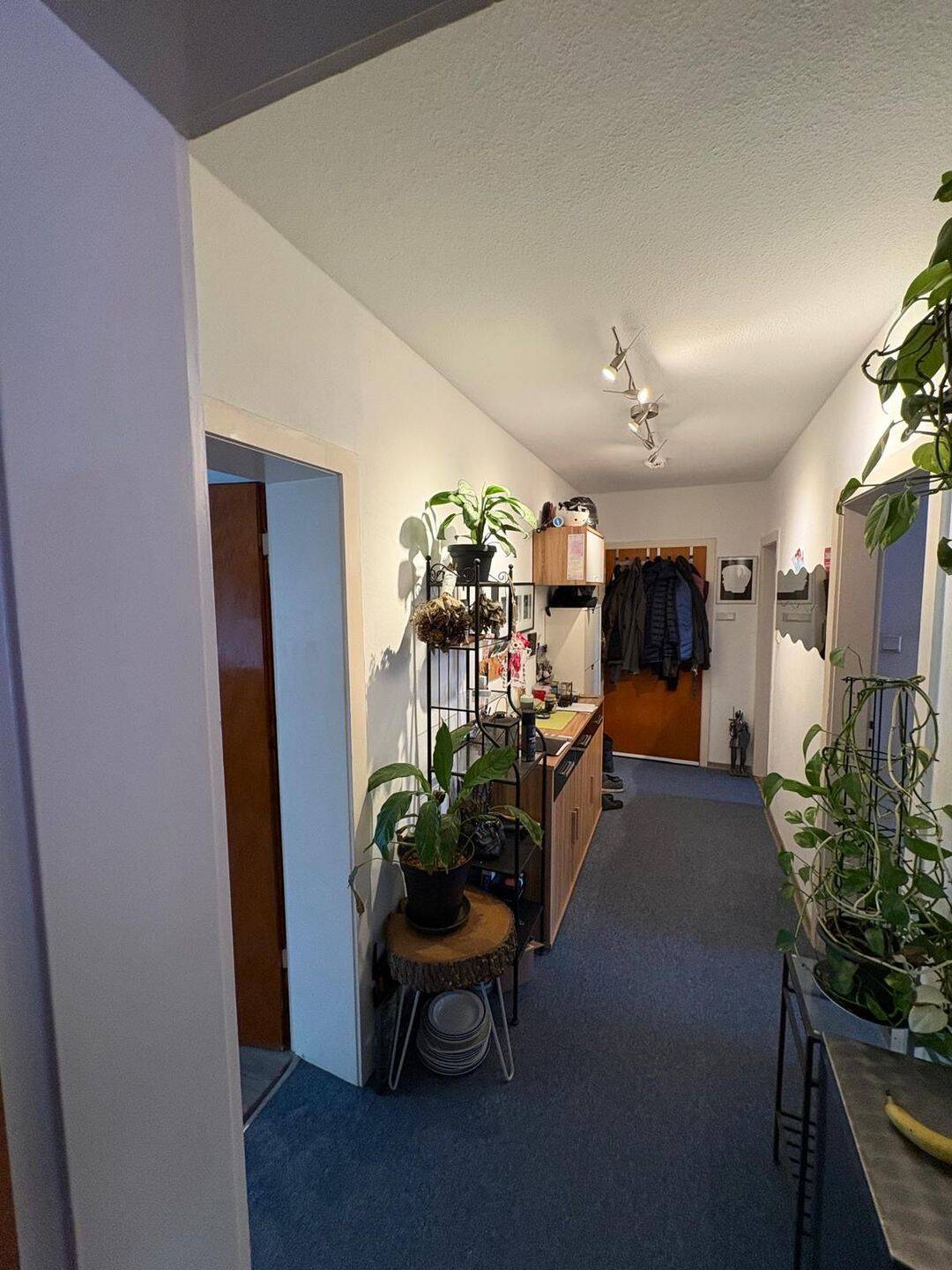 gepflegte zwei Zimmer Wohnung Höhenhaus – Köln – Vorschaubild 6