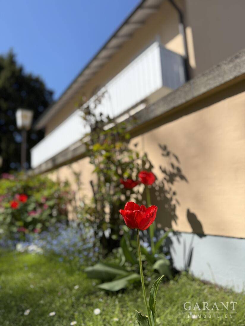 Ein Haus, viele Möglichkeiten - Wohnen, Arbeiten und Kapitalanlage unter einem Dach – Trostberg – Bild 1 von 9