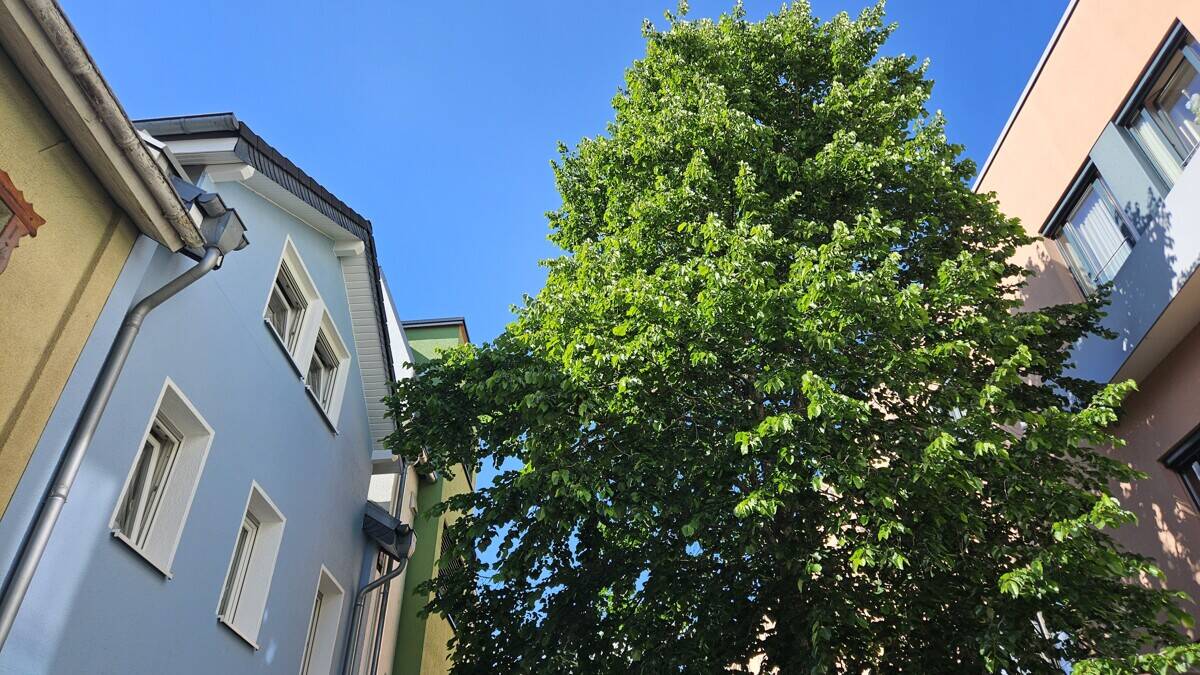 Vielseitig nutzbares Reihenmittelhaus in zentraler Lage – Andernach – Bild 1 von 9