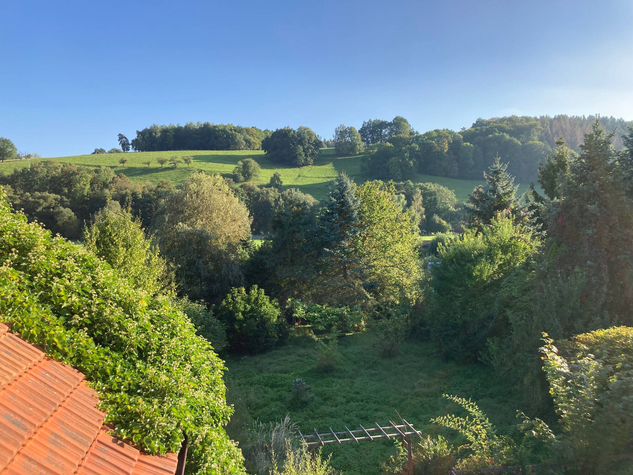 RESERVIERT: Fertig durchsaniertes Mehrgenerationenhaus - mit viel Platz und großem Grundstück in Erdmannsdorf (Tälerdörfer) – Stadtroda – Vorschaubild 7