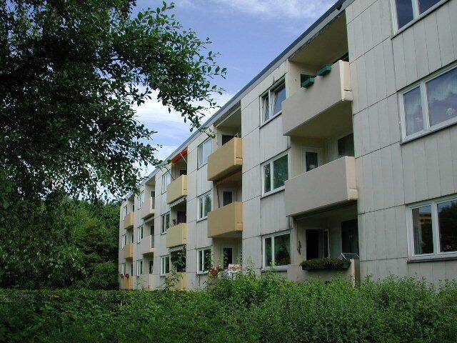 3-Zimmer-Wohnung in grüner Lage am Rande Mettenhofs – Kiel – Bild 1 von 6