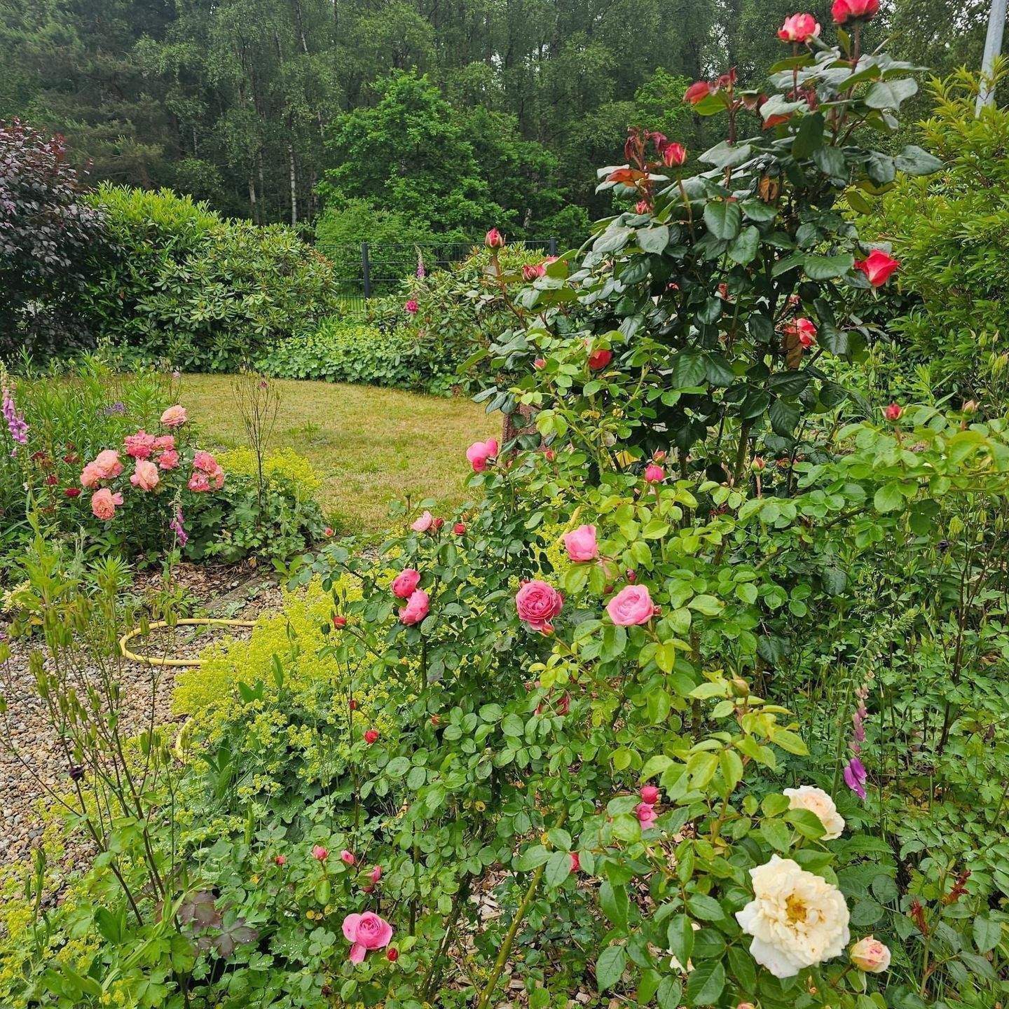 Einziehen & Aufatmen: Moderner Bungalow-Traum mit Solarkraft & Gartenidyll – Zernien – Vorschaubild 7