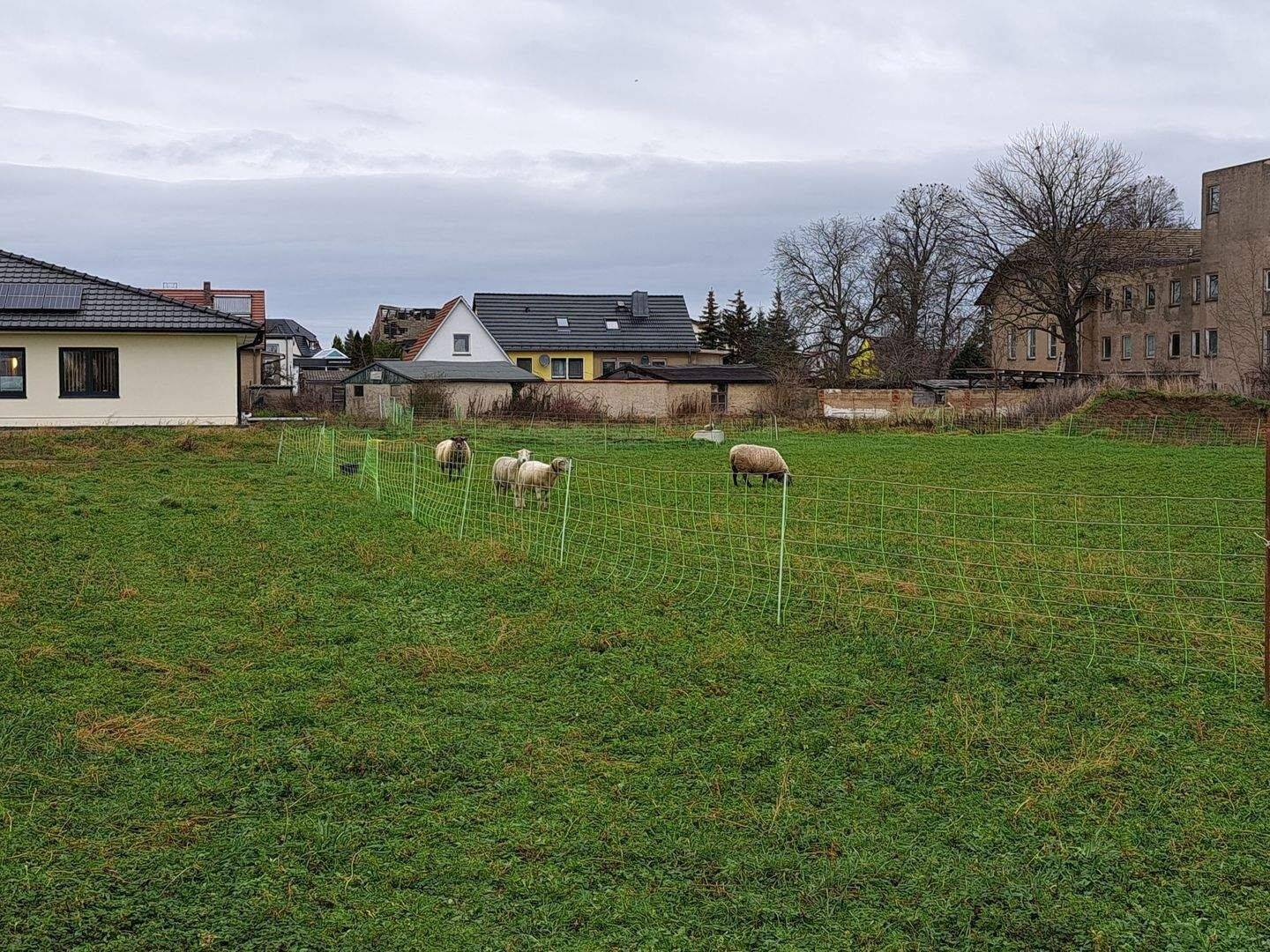 Den Traum einer Ferienimmobilie hier entstehen lassen. Teilen Sie sich doch die Nutzung. – Mühlberg/Elbe – Vorschaubild 4