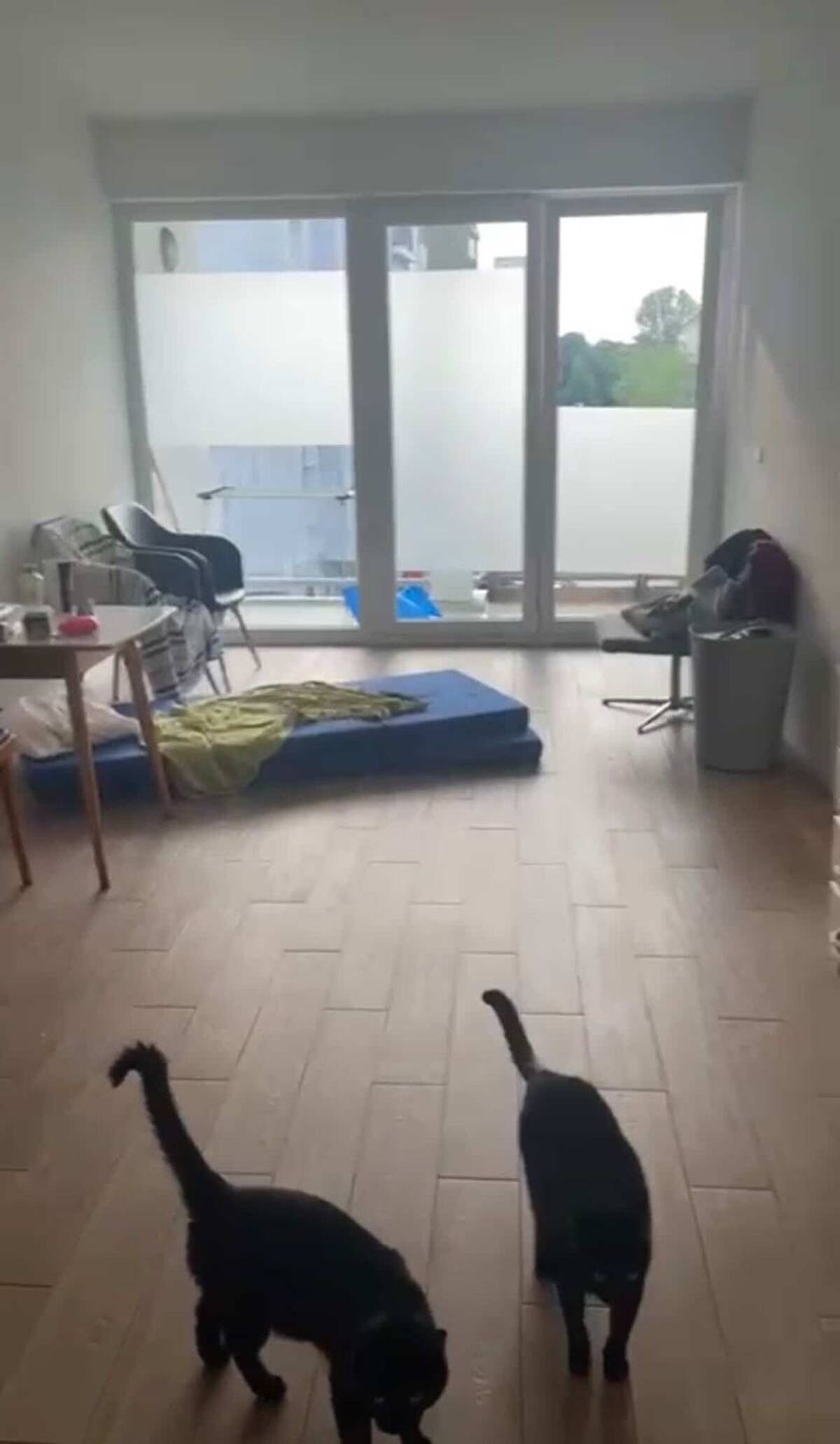 nachmieter*in gesucht zum 01.09. (nach Absprache auch früher) – 10247 Berlin – Bild 1 von 7