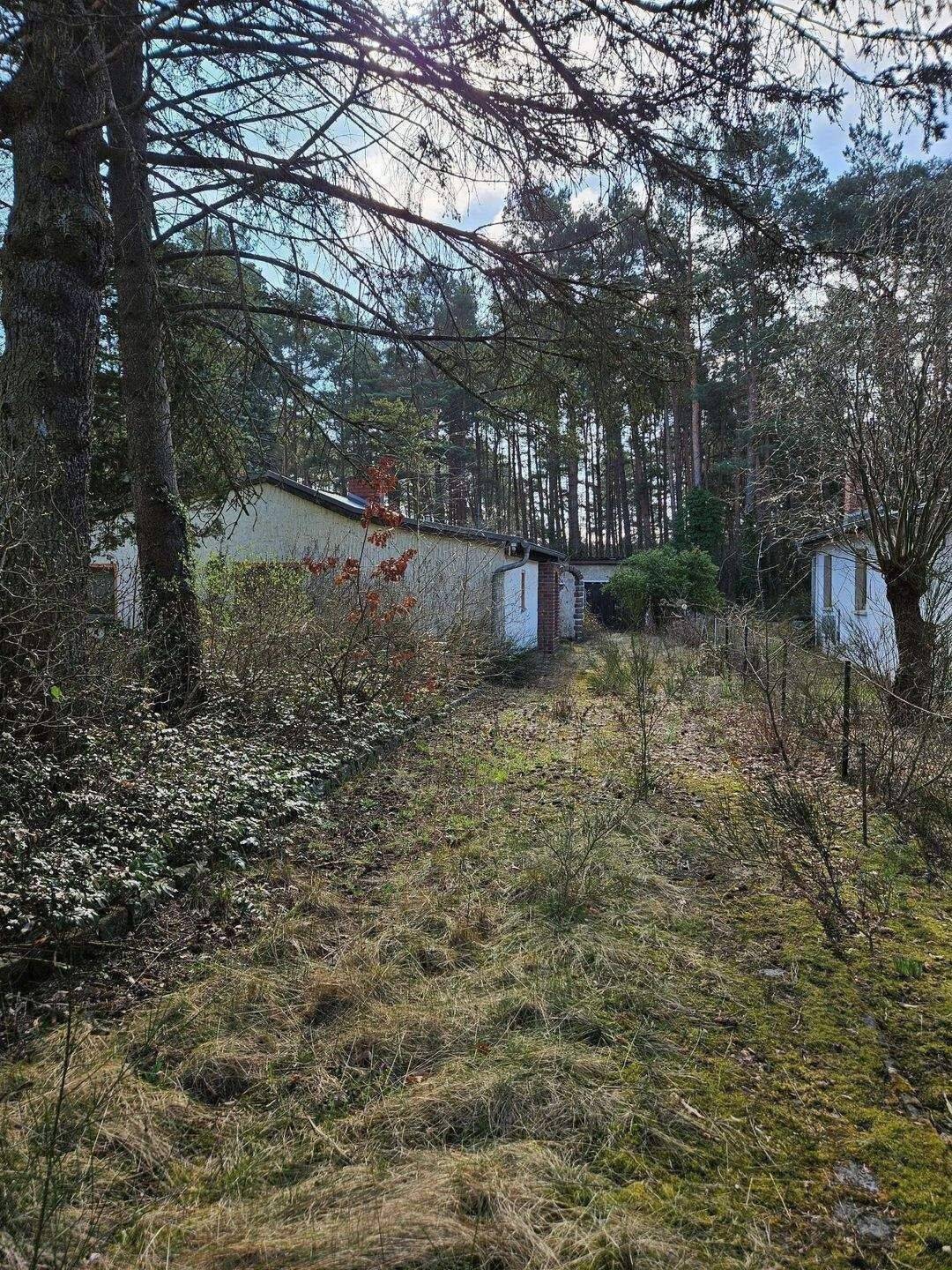 Warum nicht? Los geht`s! – Borkheide – Vorschaubild 8