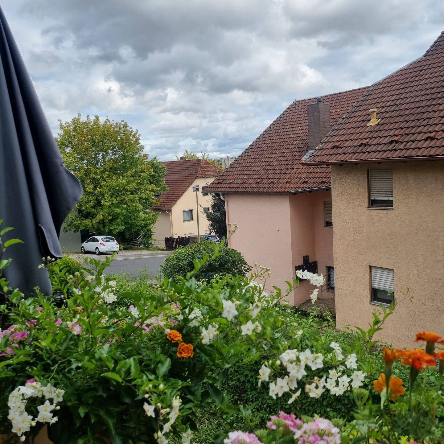Freundliche 2-Zimmer-Wohnung im Grünen – Würzburg – Vorschaubild 3