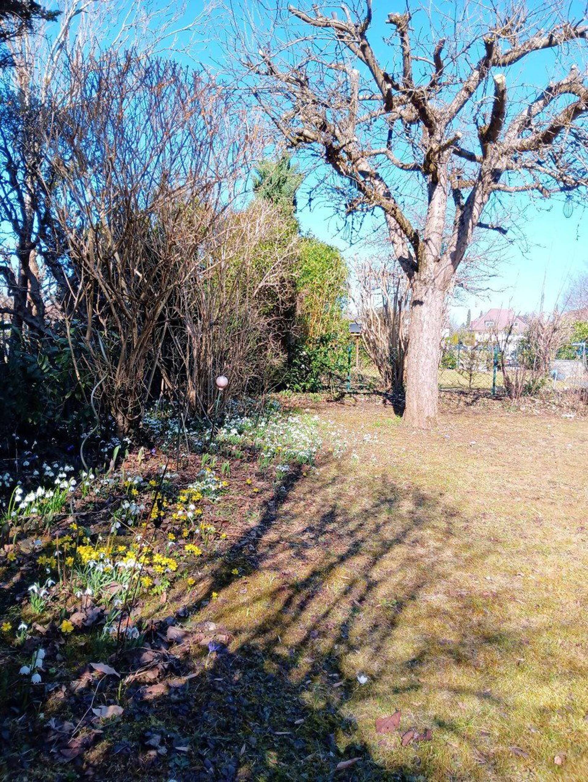Haus in 82049 Pullach mit 192 m² kaufen