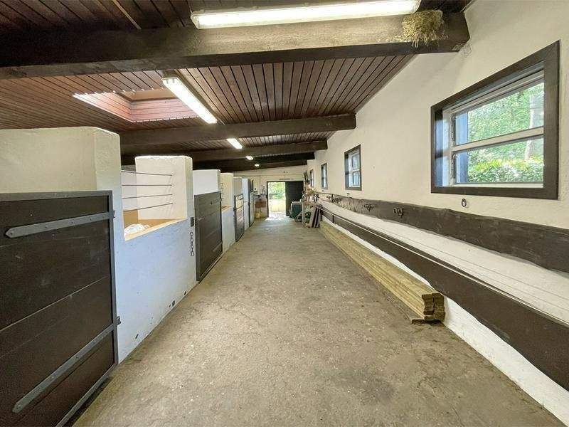 Luxuriös wohnen mit Pferden – Meckenheim – Vorschaubild 6