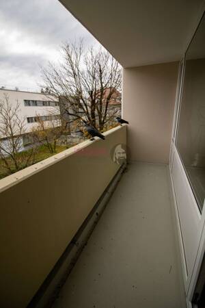 Bezugfreies 1 Zimmer Apartment mit Balkon und Tfg / Auch als Kapitalanlage nutzbar. – 81241 München – Vorschaubild 6