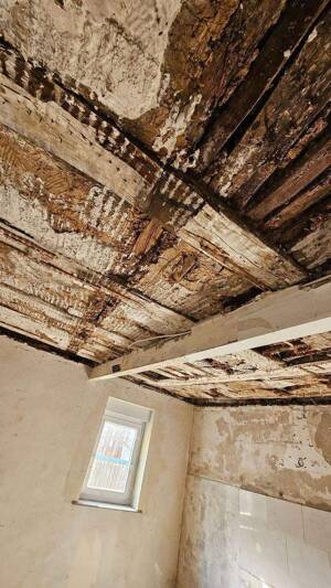 Handwerkerhaus in Top Lage ! Mit viel Potential ! – 76835 Gleisweiler – Vorschaubild 9