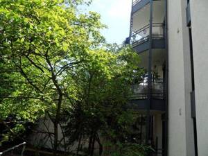 Bonn Zentrum renoviertes Apartment (für Einzelperson) Nichtraucher Wohnraum, Balkon, kleinerer Schlafraum, sep.Küche mit neuer EBK, Bad, TG-Stellplatz – 53111 Bonn – Vorschaubild 7