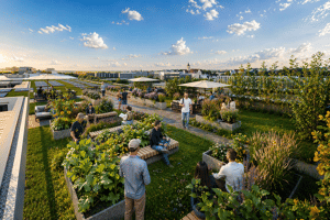 Klug investieren & Steuern sparen – 93051 Regensburg – Vorschaubild 6