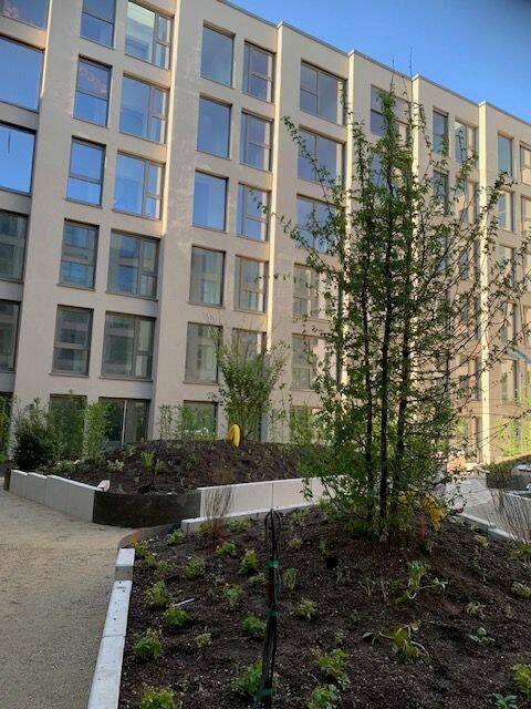 Provisionsfrei, Neubau, Erstbezug, 1-Zimmer Wohnung im 1.OG mit Balkon im Zollhafen – Mainz – Vorschaubild 2