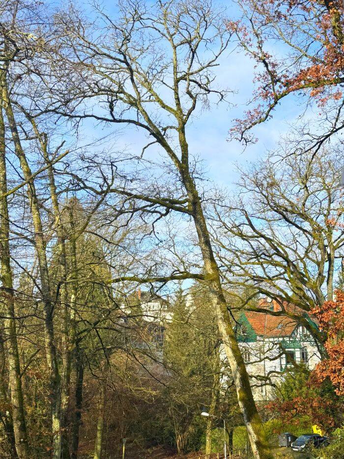 A+ Erstbezug - Einfamilienhaus mit Charme, Komfort und Nachhaltigkeit – Wiesbaden – Vorschaubild 2