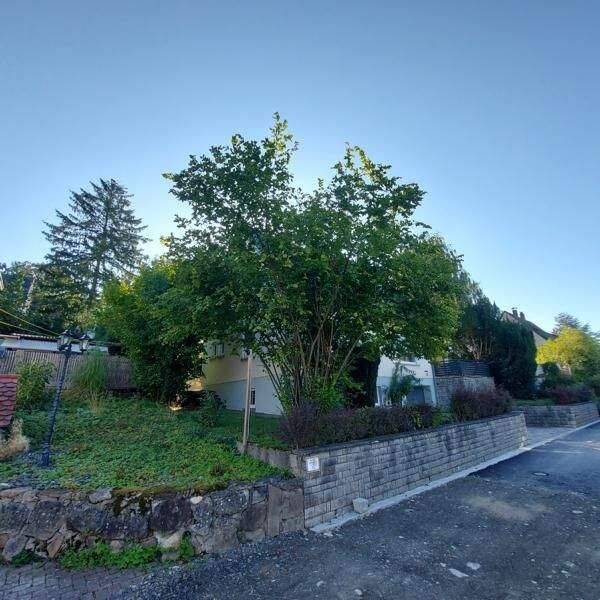 Zum Einzug bereit! – Dittelbrunn – Vorschaubild 2