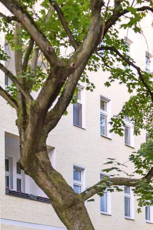 Kapitalanlage in Reinickendorf: Vermietete 2-Zimmer-Altbauwohnung mit perfektem Grundriss! – 13409 Berlin – Vorschaubild 3
