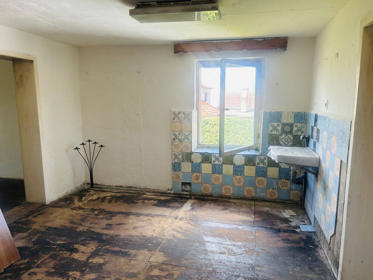 Charmanter Bauernhof mit Renovierungspotenzial - gestalten Sie Ihr Traumhaus! – Bad Liebenwerda – Vorschaubild 3