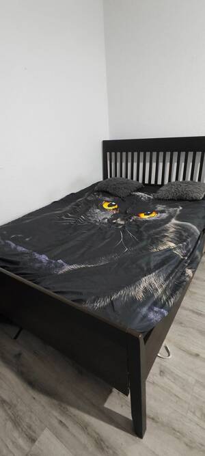 2-Zimmer-Wohnung in Leipzig-Schönefeld – 4347 Leipzig – Vorschaubild 4