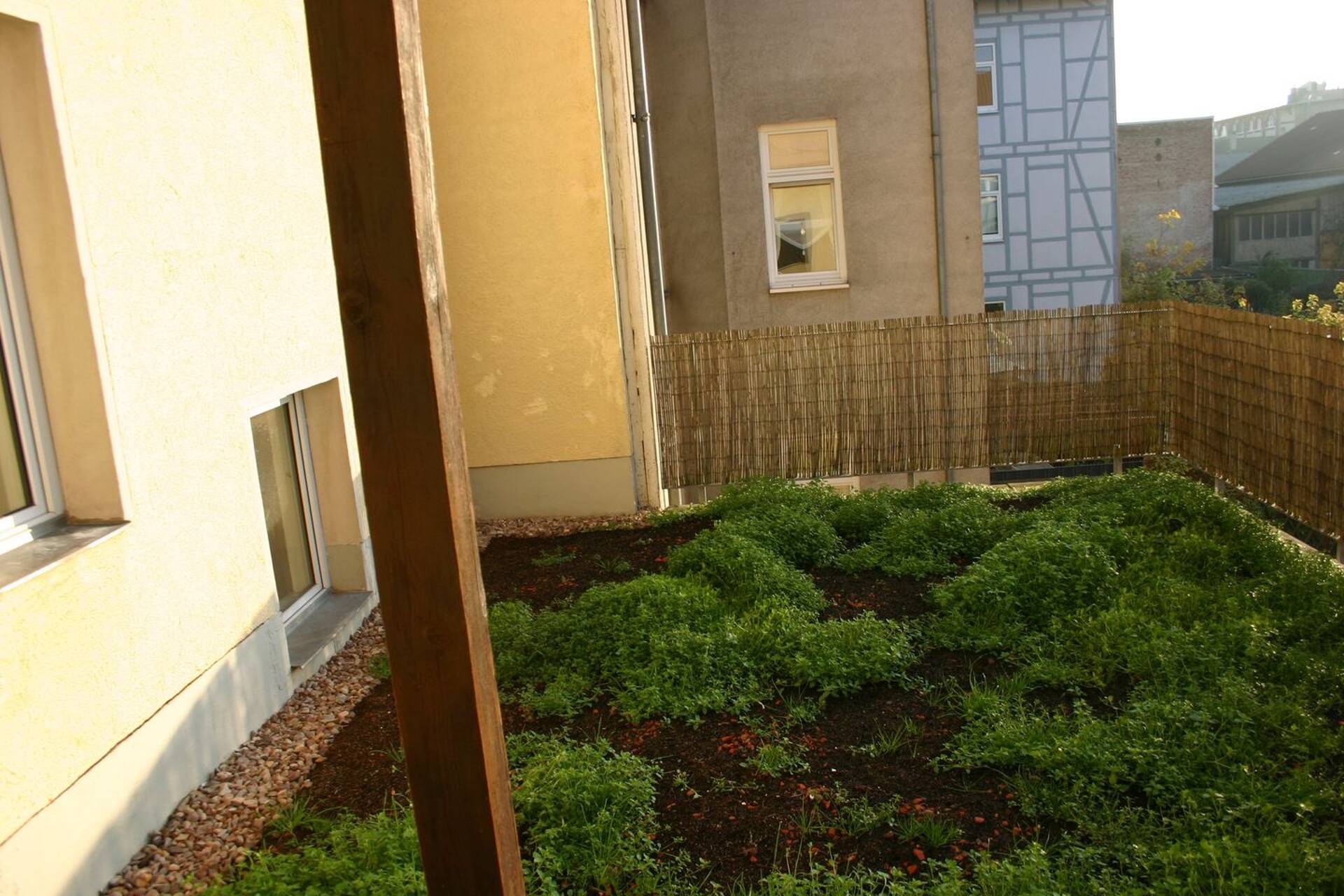 Mehrfamilienhaus in 99974 Mühlhausen/Thüringen mit 341 m² kaufen